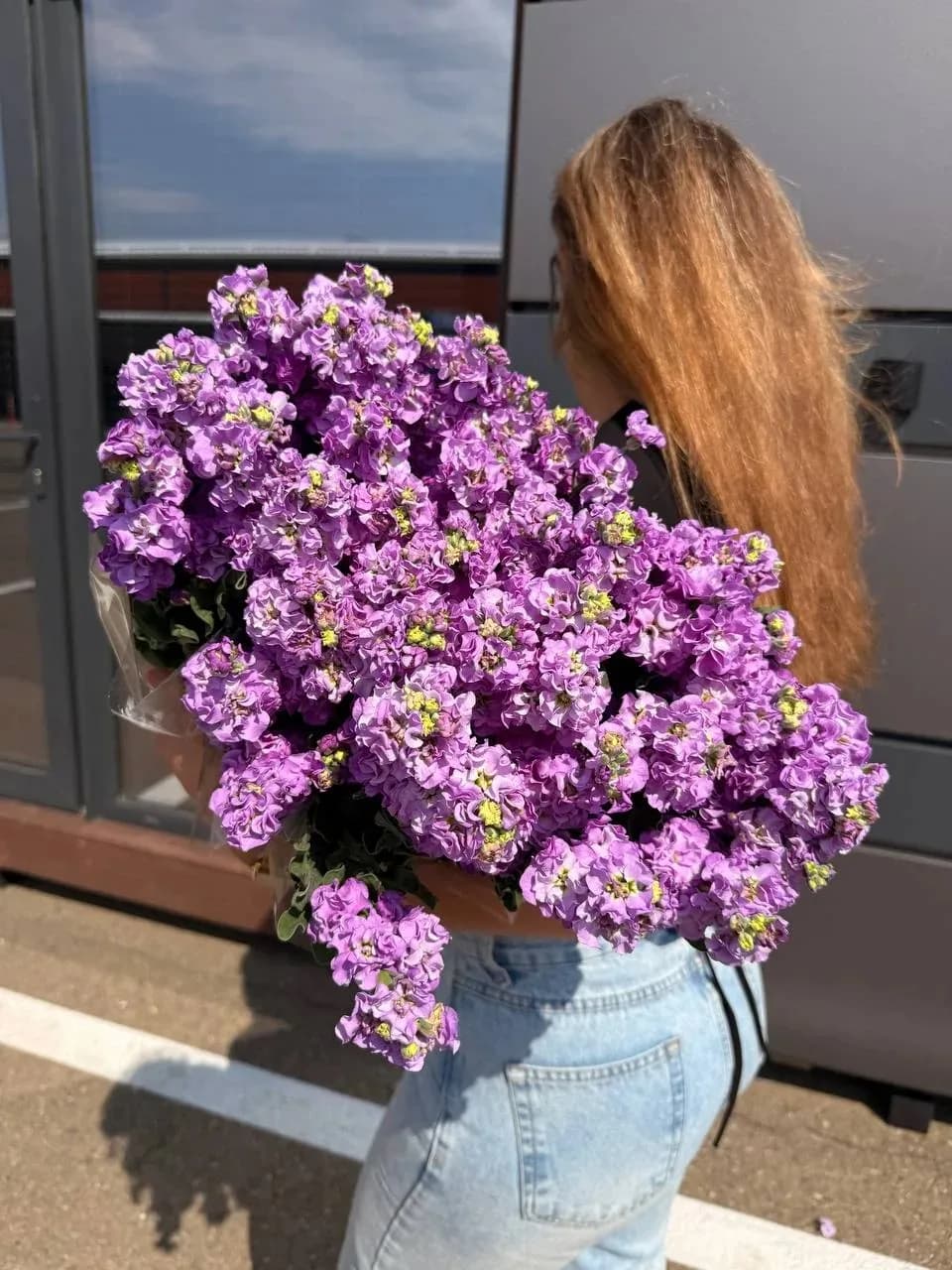 Маттиола в ассорт, шт